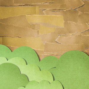 国产真实伦对白视频全集
