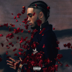 美女丝袜一三极片下载
