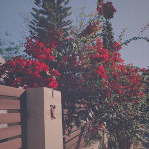 瑶白丝内裤喷我一脸小说
