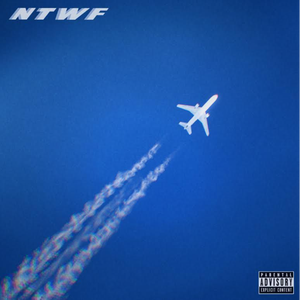 厚脸皮意大利电影
