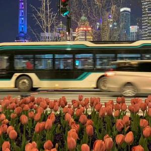 吞精口交激情欧美人妖
