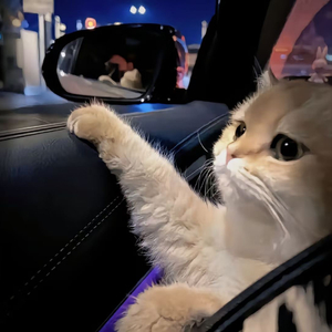 国产又粗又白又嫩又爽
