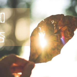 国产真实伦对白视频全集
