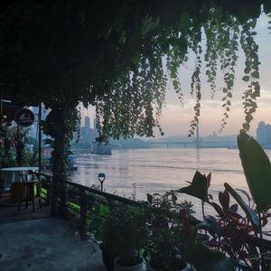 国产视频极品网红
