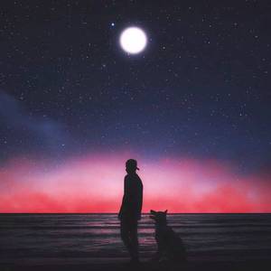 美女丝袜一三极片下载
