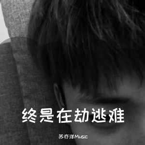 拍拍网友论坛视频在线
