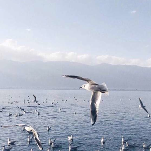 国产成人性毛片aaww
