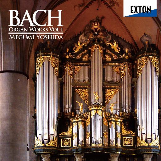 日日摸日日碰夜夜爽无码视频
